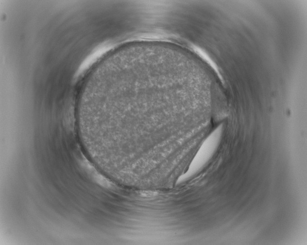 X0000085231456200704091945