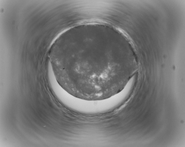 X0000085231457200704091945