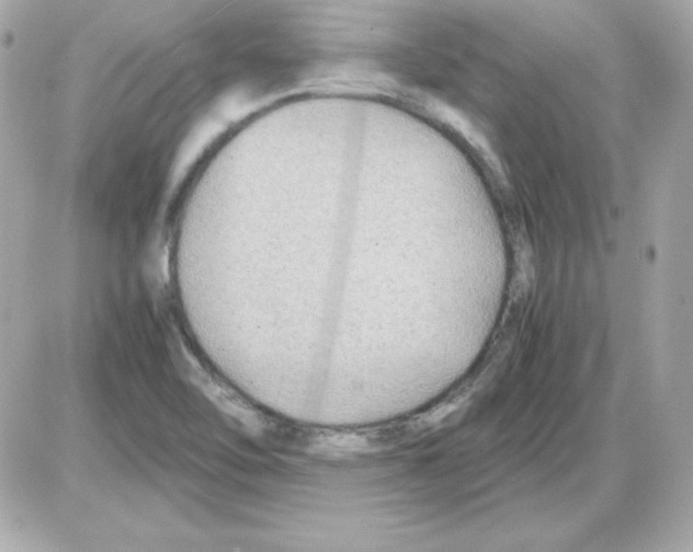 X0000085231462200704091945