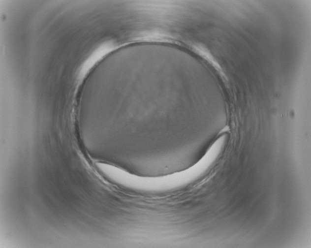 X0000085231463200704091945