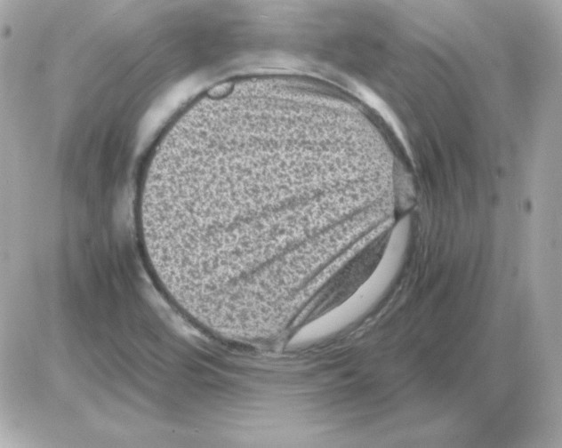 X0000085231464200704091945