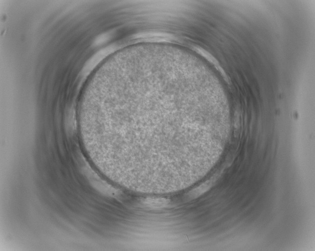 X0000085231466200704091945