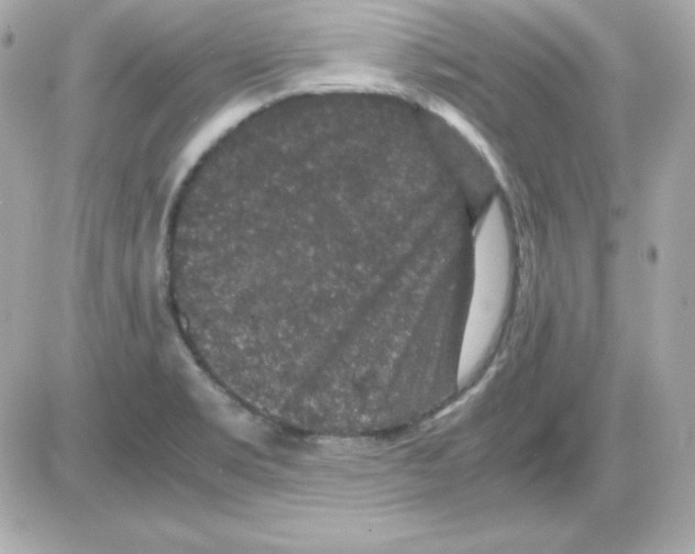 X0000085231469200704091945