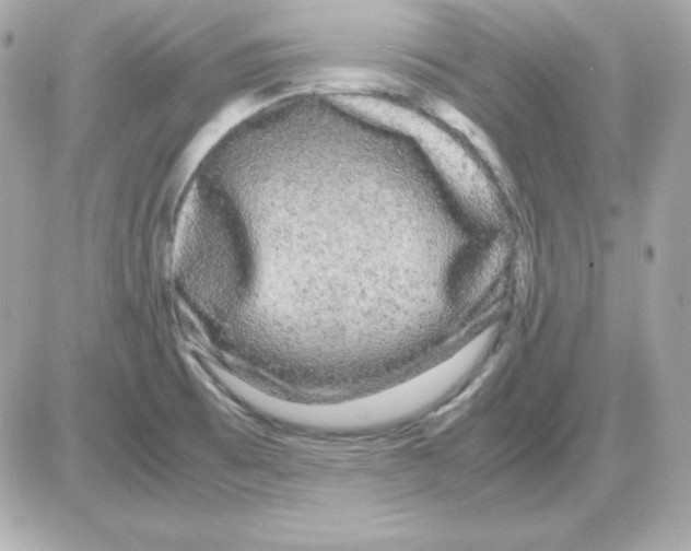 X0000085231473200704091945