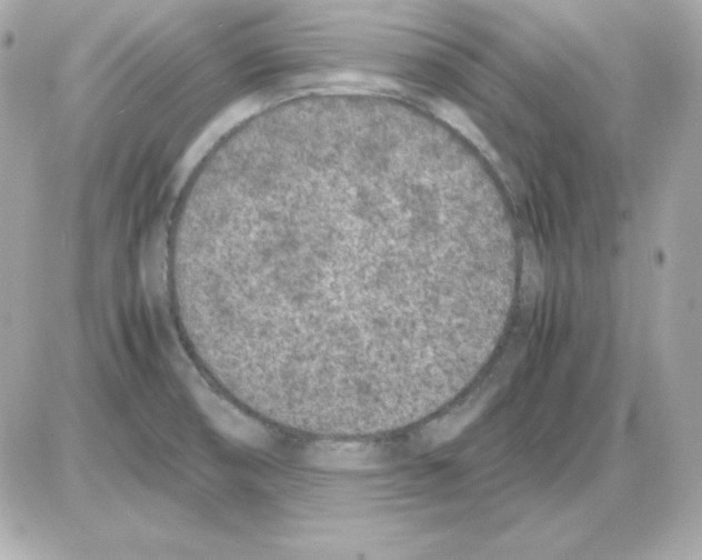 X0000085231474200704091945