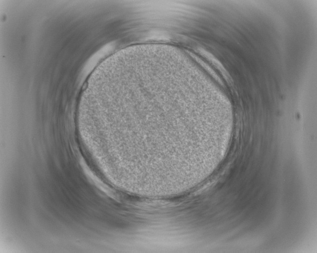 X0000085231475200704091945