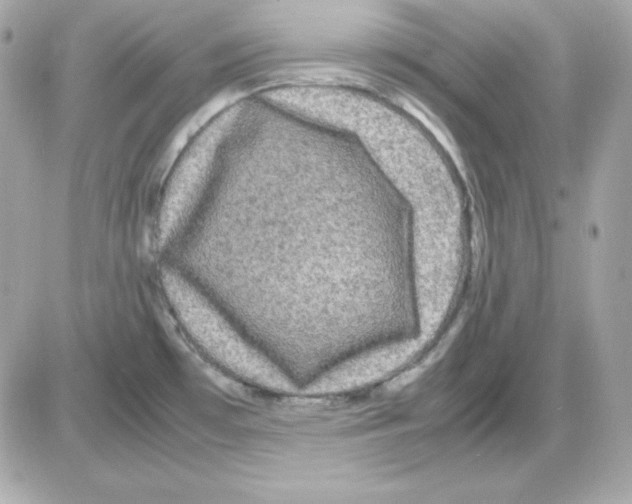 X0000085231481200704091945