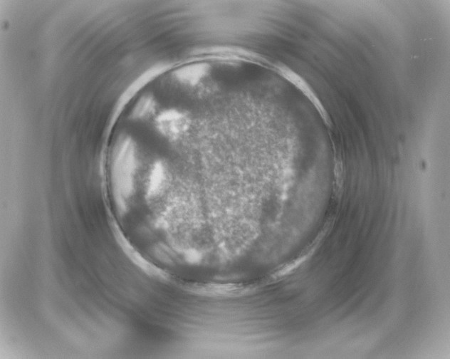X0000085231482200704091945