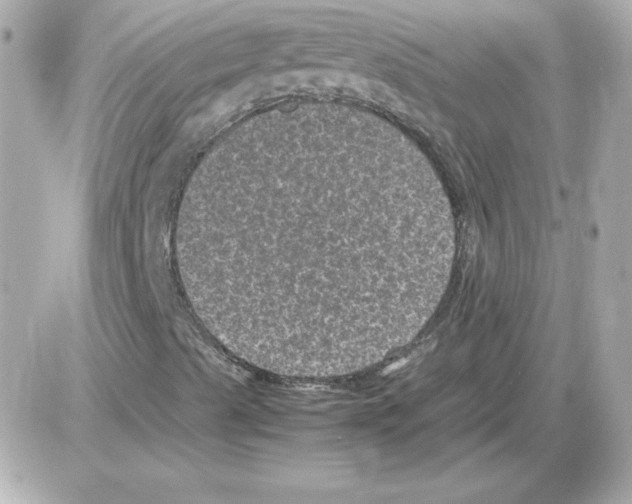 X0000085231489200704091944