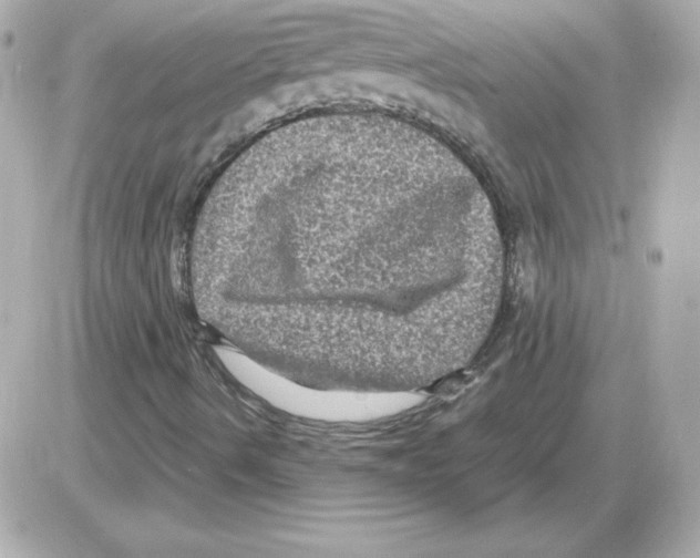 X0000085231490200704091944