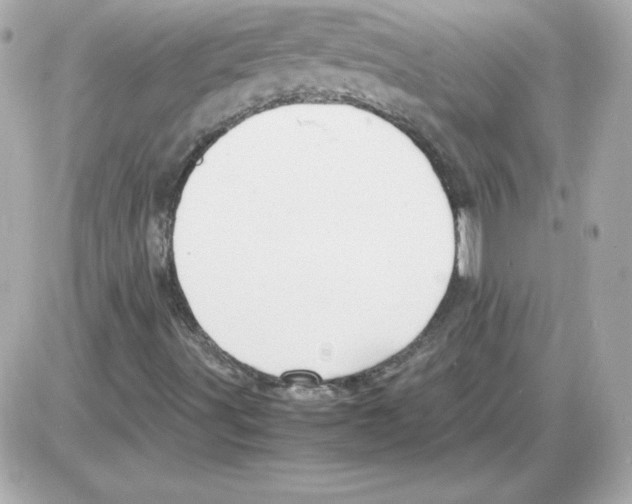 X0000085231491200704091944