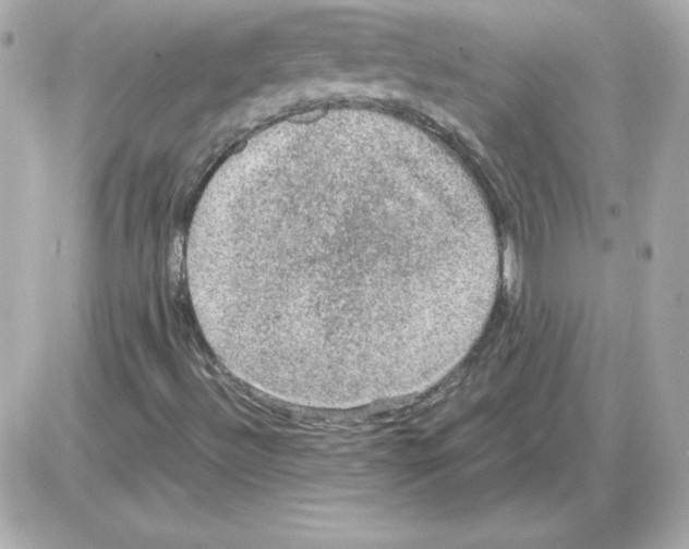 X0000085231492200704091944
