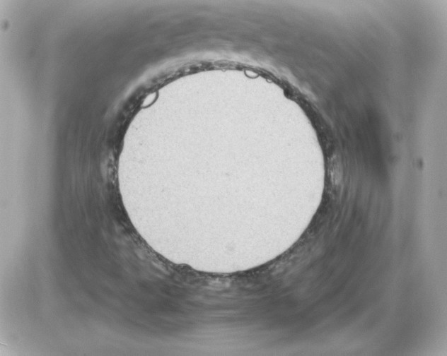 X0000085231495200704091944