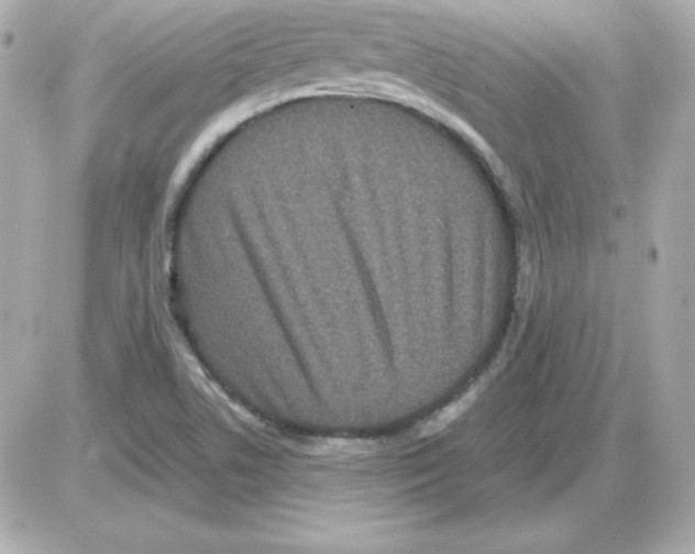 X0000085231506200704091944