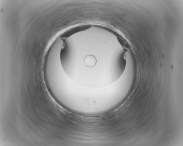 X0000085231508200704091944