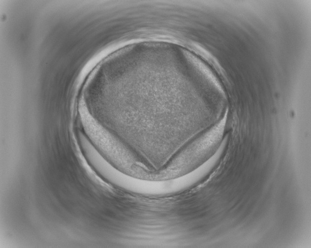 X0000085231520200704091944
