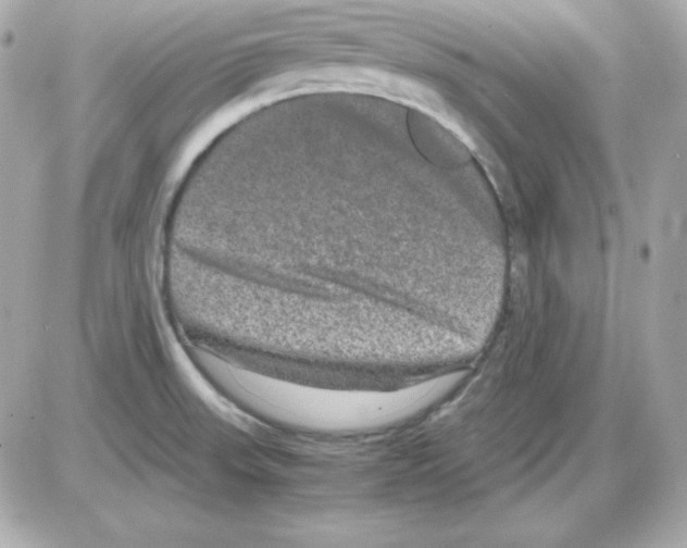 X0000085231523200704091944