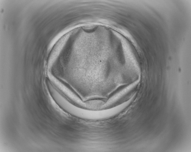 X0000085231524200704091944
