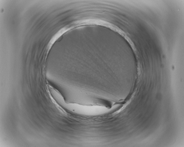 X0000085231529200704091944