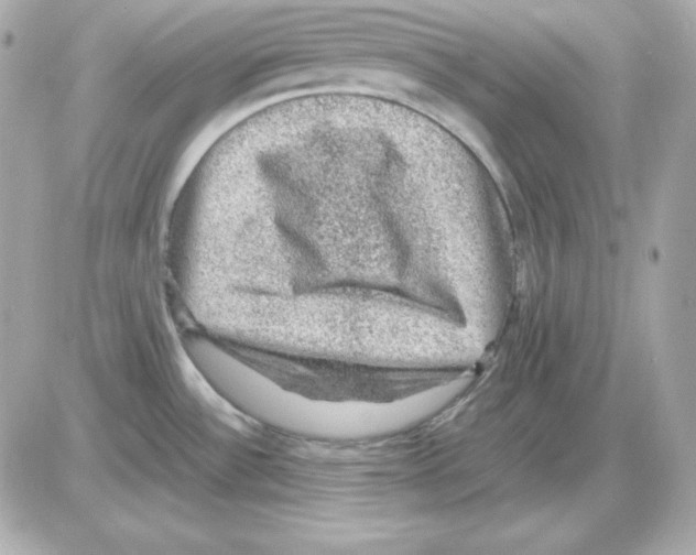 X0000085231532200704091944