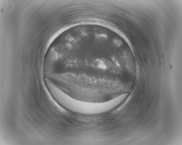 X0000085231533200704091944