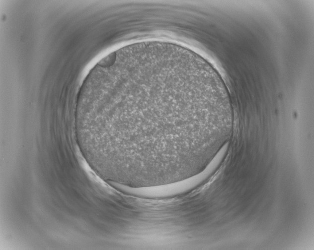 X0000085231534200704091944