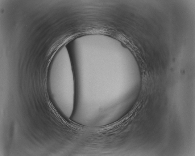 X0000085240002200703090934