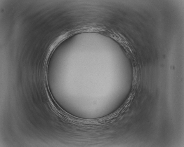 X0000085240003200703090934
