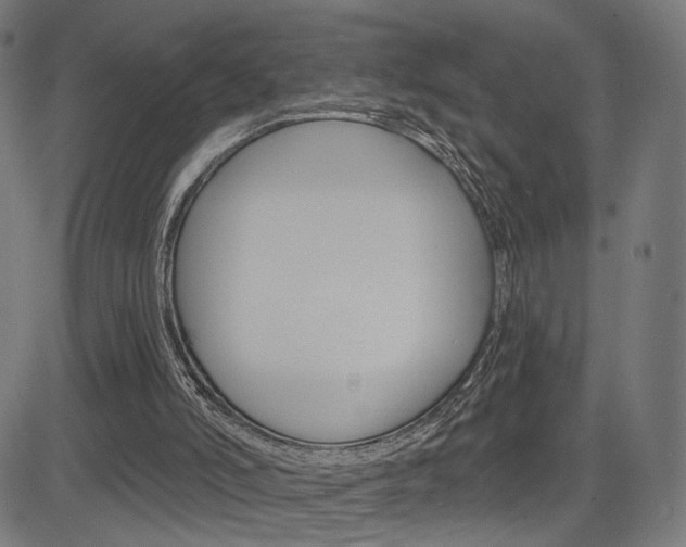 X0000085240006200703090934
