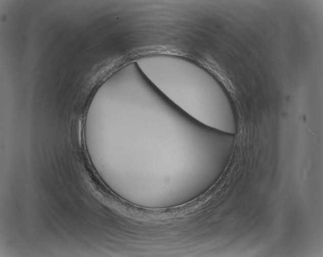 X0000085240014200703090934