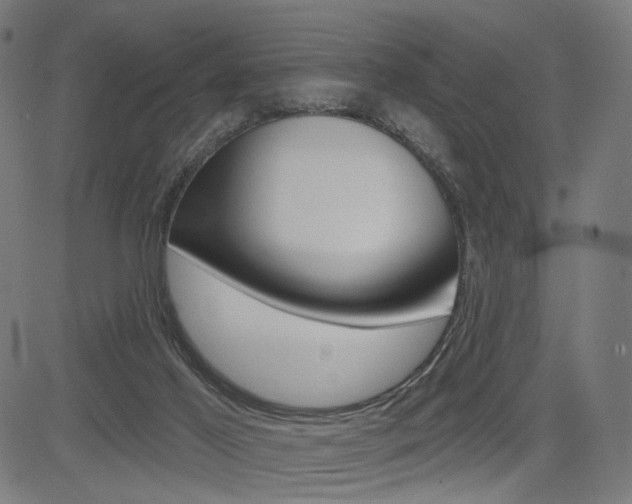 X0000085240021200703090934