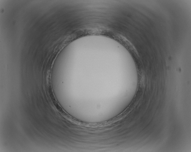 X0000085240026200703090933