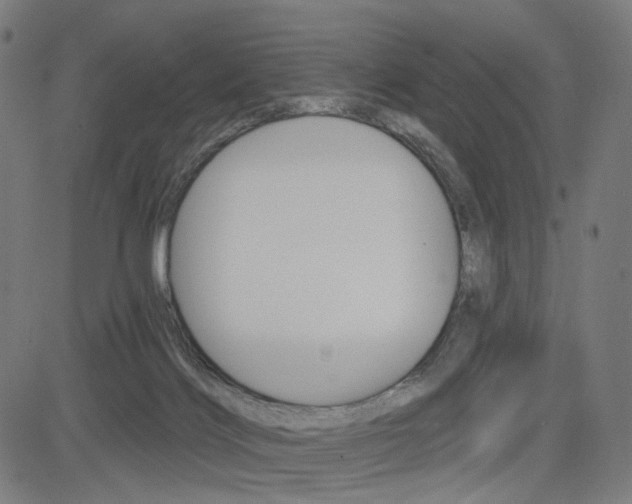 X0000085240028200703090933