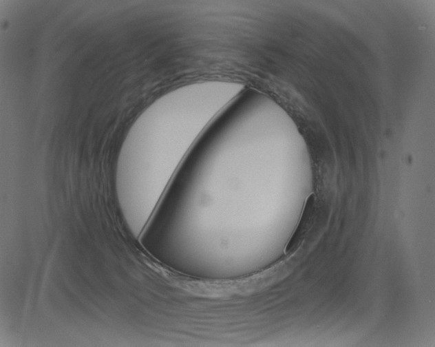 X0000085240033200703090933