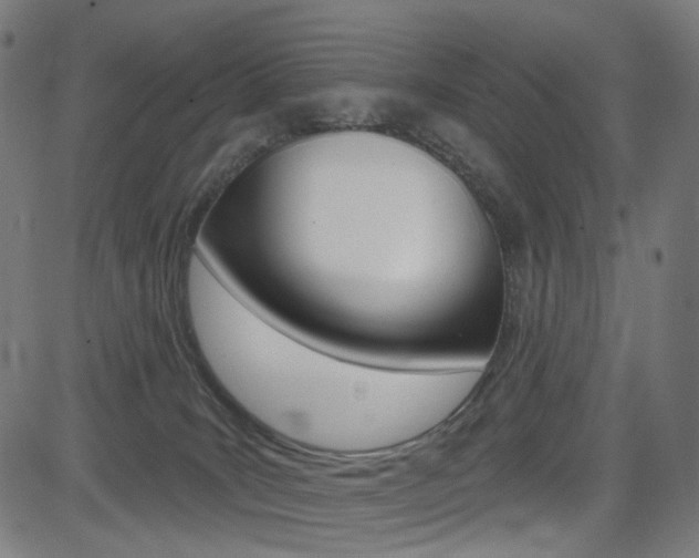 X0000085240035200703090933