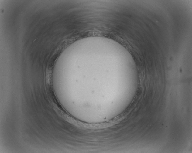 X0000085240038200703090933
