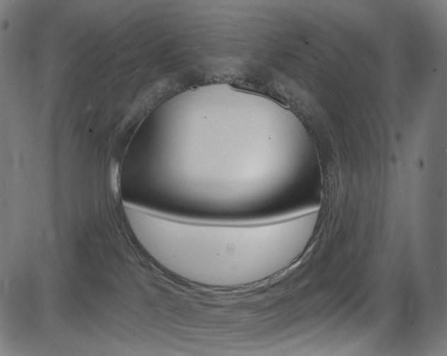 X0000085240041200703090933