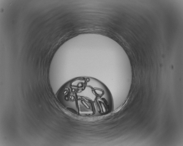 X0000085240045200703090933