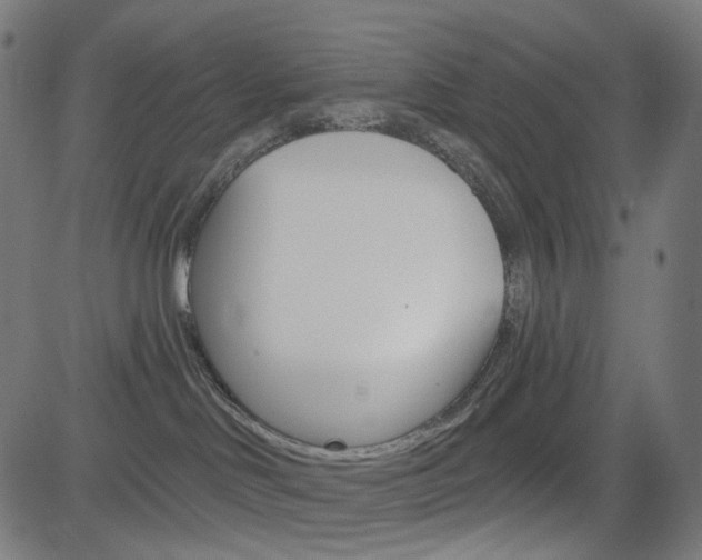 X0000085240046200703090933