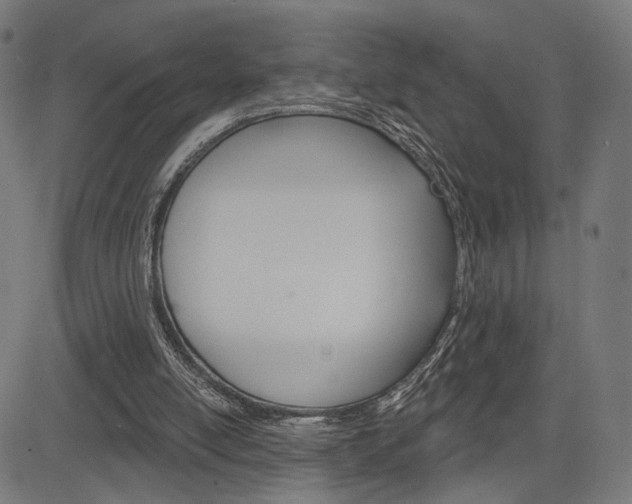 X0000085240054200703090932