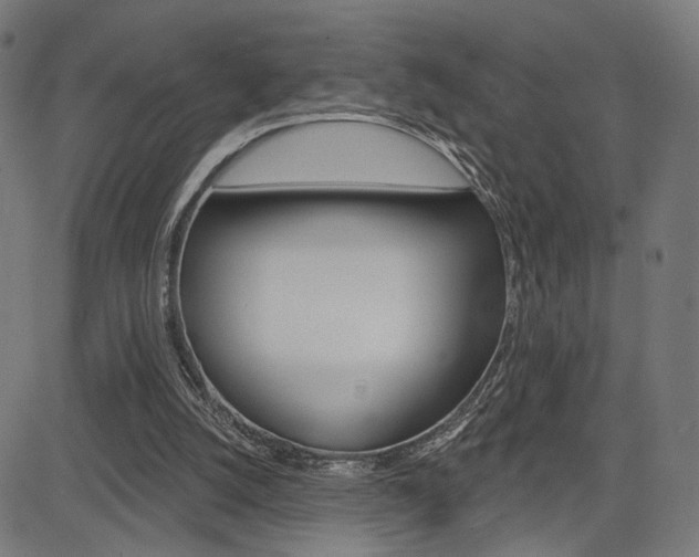 X0000085240056200703090932