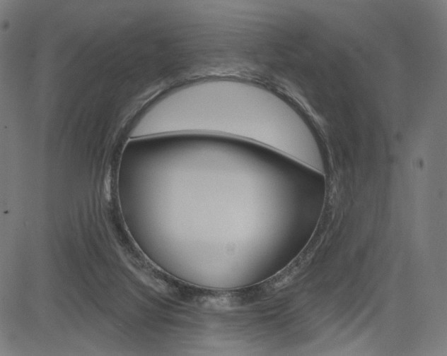 X0000085240068200703090933