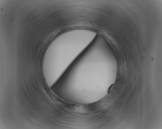 X0000085240070200703090933