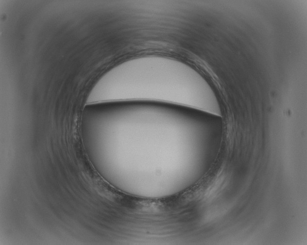 X0000085240073200703090933