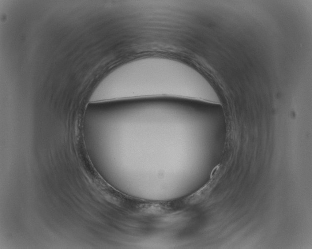X0000085240074200703090933