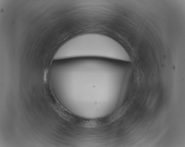 X0000085240075200703090933