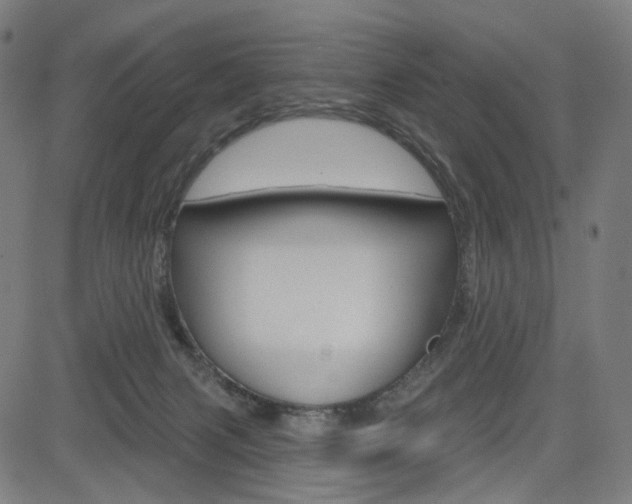 X0000085240079200703090933