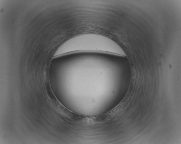 X0000085240080200703090933