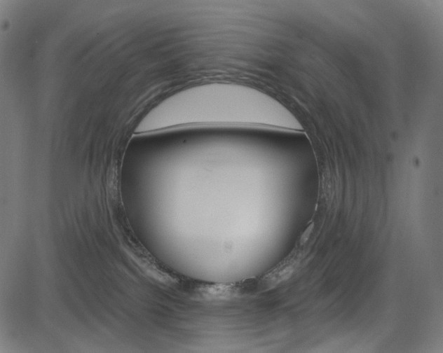 X0000085240092200703090933