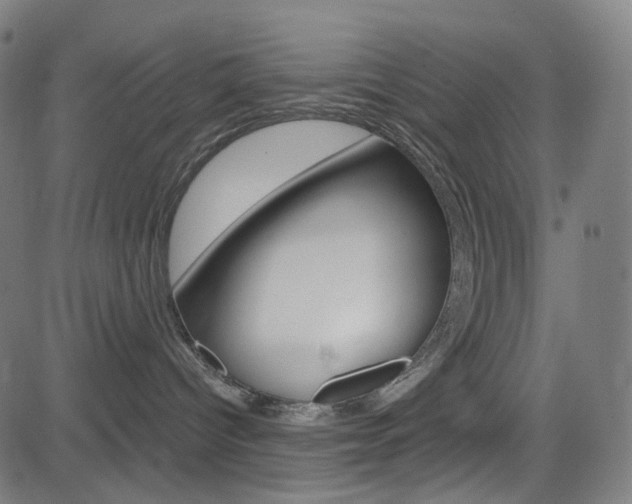 X0000085240096200703090933